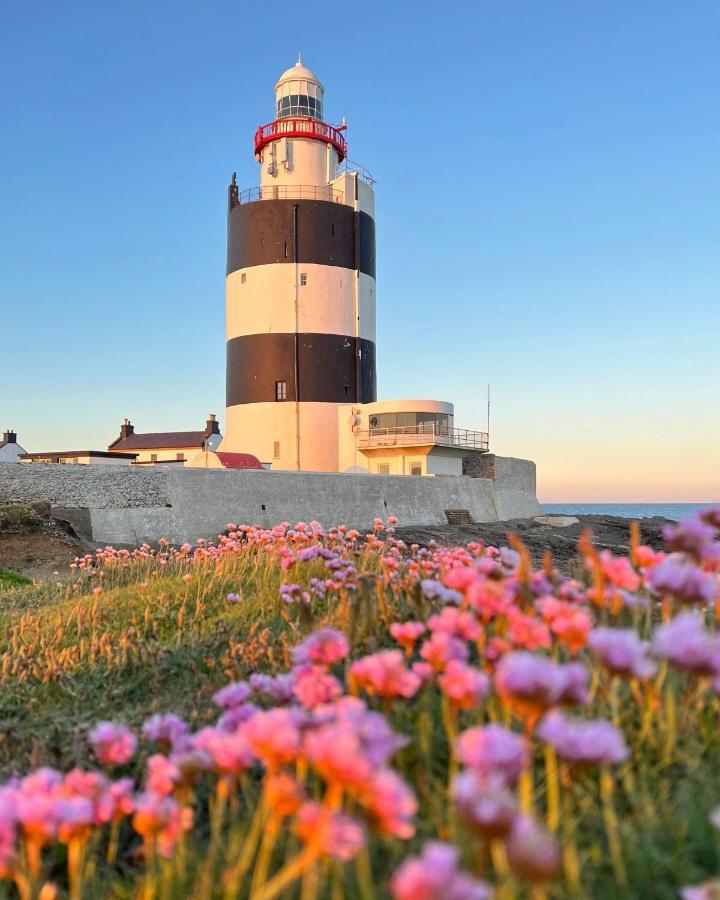 Thistledown Lodge Fethard-on-Sea Eksteriør billede