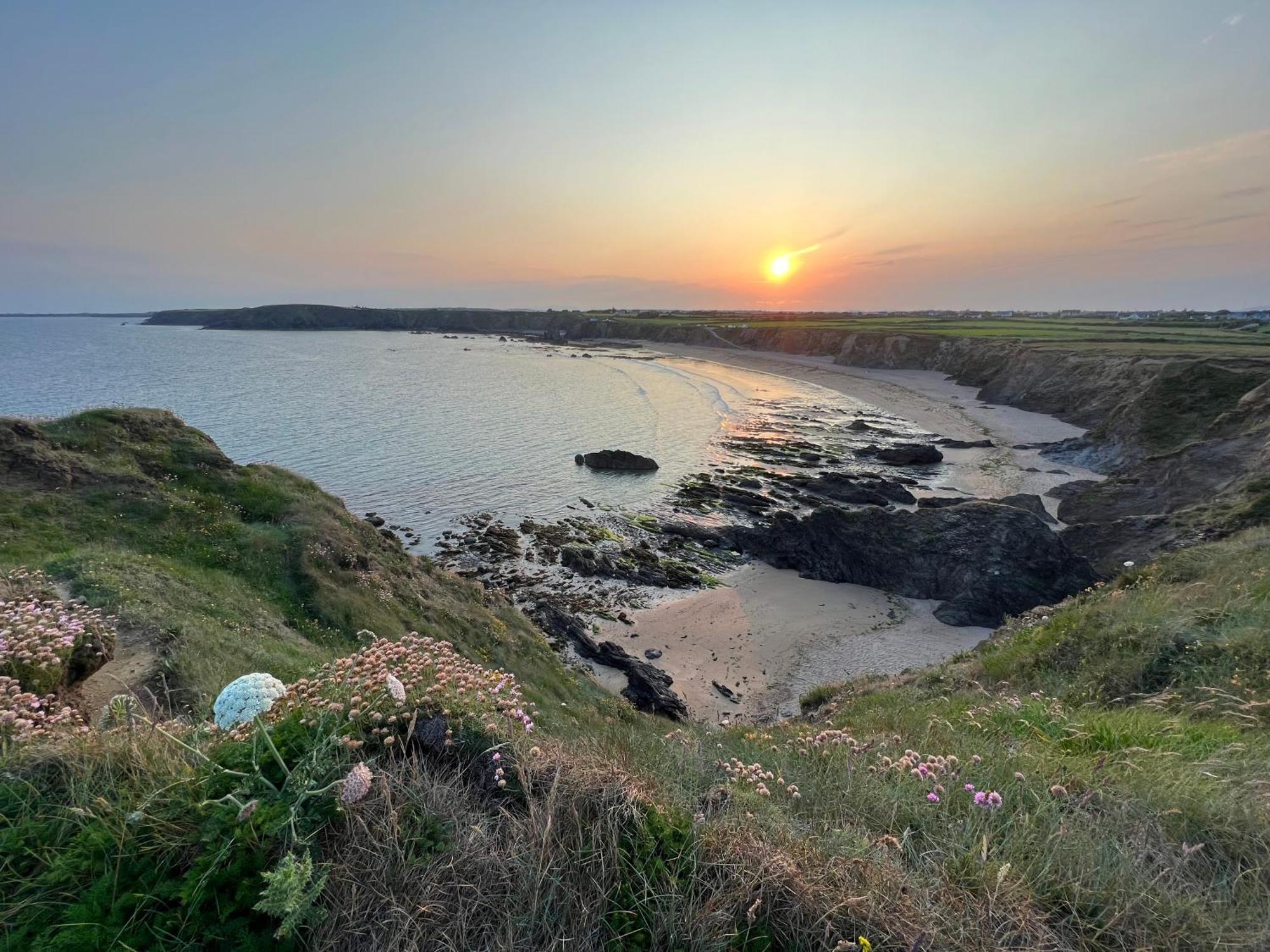 Thistledown Lodge Fethard-on-Sea Eksteriør billede