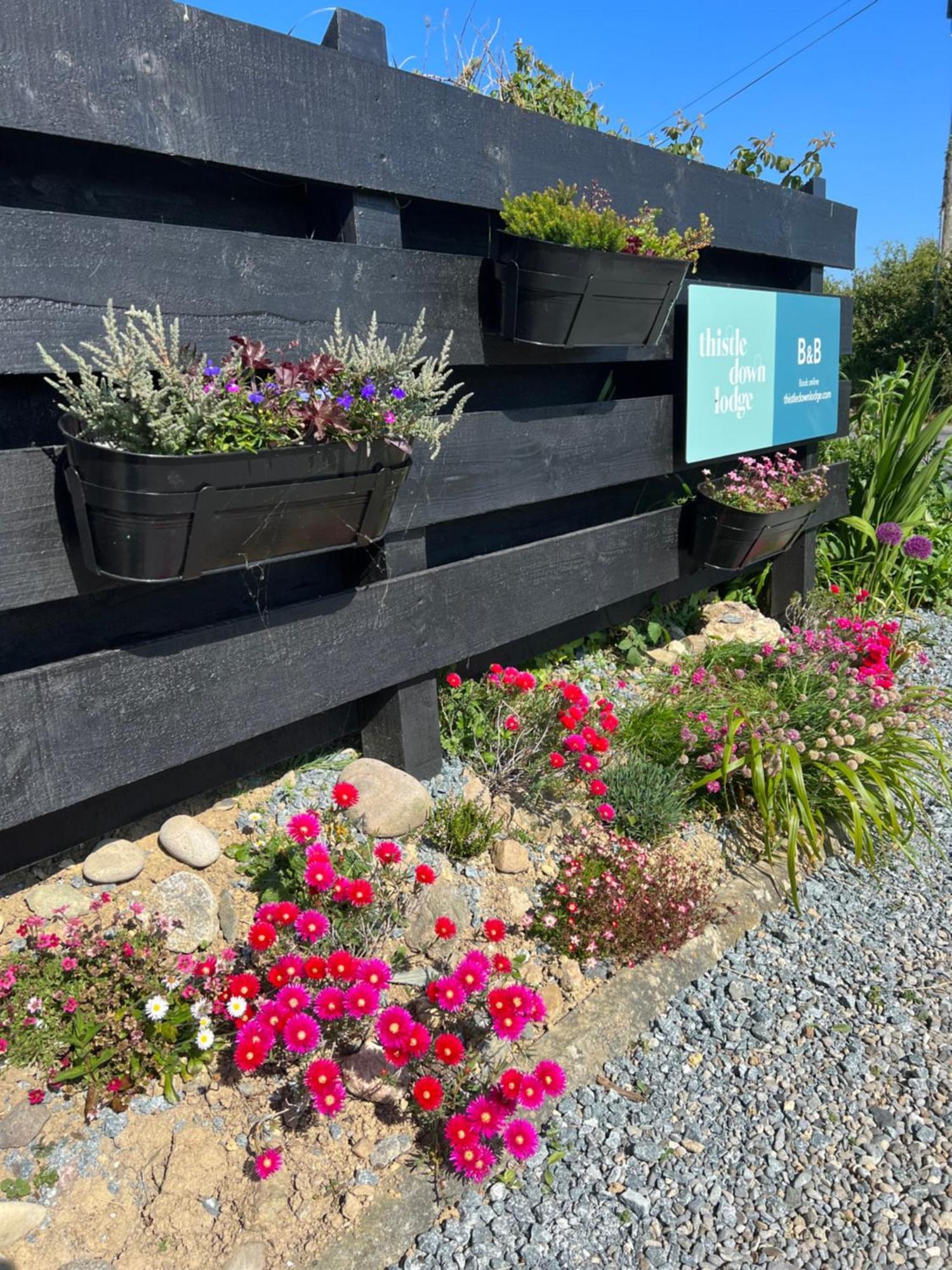 Thistledown Lodge Fethard-on-Sea Eksteriør billede