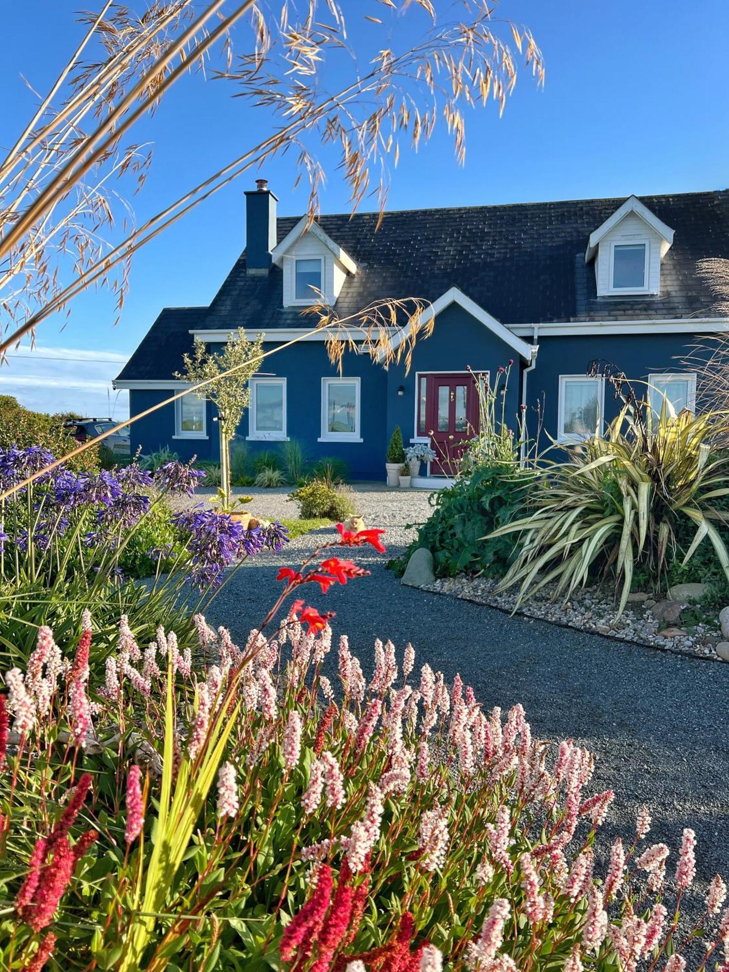 Thistledown Lodge Fethard-on-Sea Eksteriør billede
